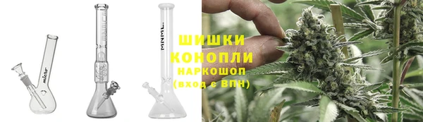 трава Арсеньев