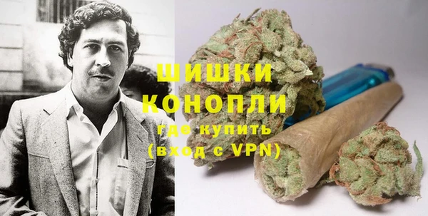 трава Арсеньев