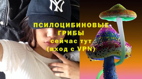 трава Арсеньев