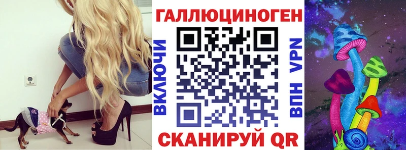 mega онион  Сегежа  Псилоцибиновые грибы мицелий 